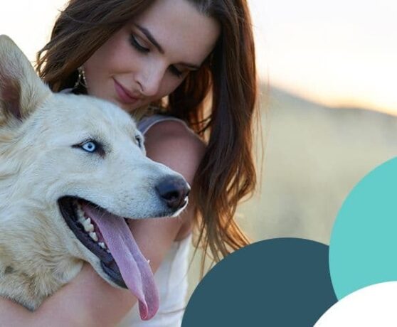 Petstock