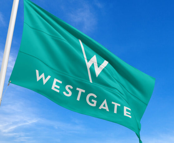 Waitangi Day Hours 2026